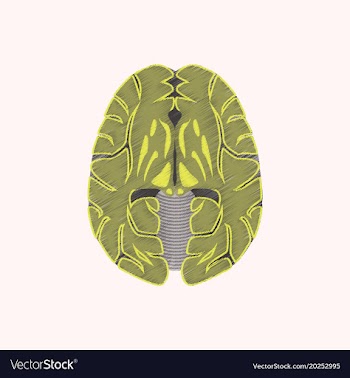 Flat shading style icon brain vector image