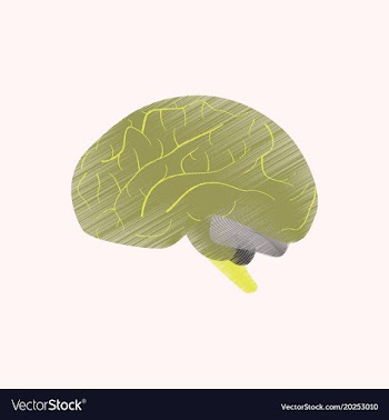 Flat shading style icon brain vector image