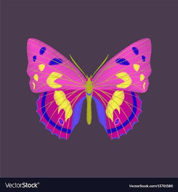 Flat shading style icon butterfly vector image