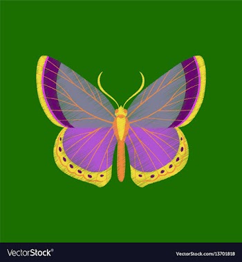 Flat shading style icon butterfly vector image