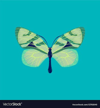 Flat shading style icon butterfly vector image