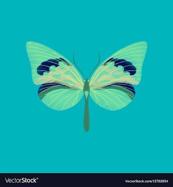 Flat shading style icon butterfly vector image