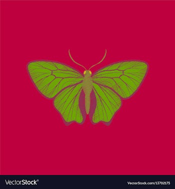 Flat shading style icon butterfly vector image