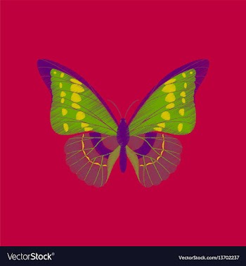 Flat shading style icon butterfly vector image