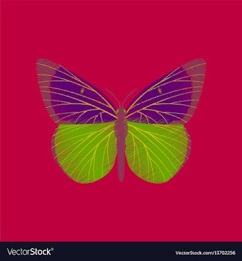 Flat shading style icon butterfly vector image
