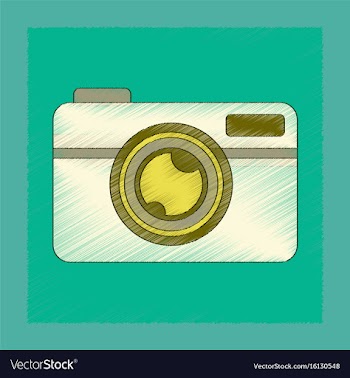 Flat shading style icon camera vector image