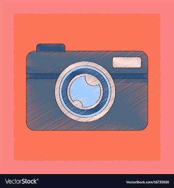 Flat shading style icon camera vector image