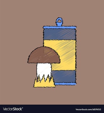 Flat shading style icon canned and mushroom vector image
