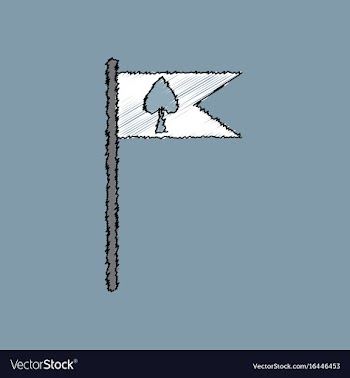 Flat shading style icon cards symbol on flag vector image