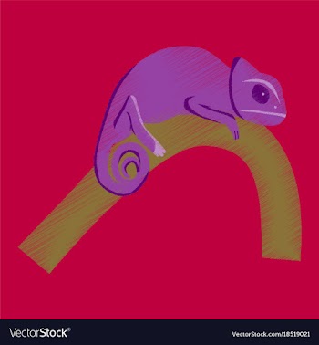 Flat shading style icon chameleon vector image