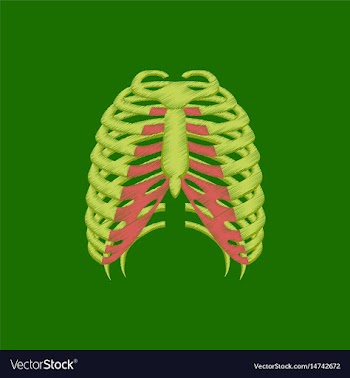Flat shading style icon chest thorax vector image
