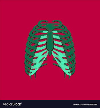 Flat shading style icon chest thorax vector image