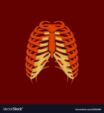 Flat shading style icon chest thorax vector image