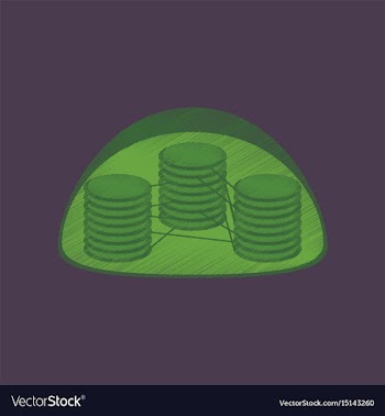 Flat shading style icon chloroplast vector image