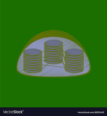 Flat shading style icon chloroplast vector image