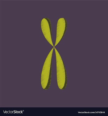 Flat shading style icon chromosome vector image