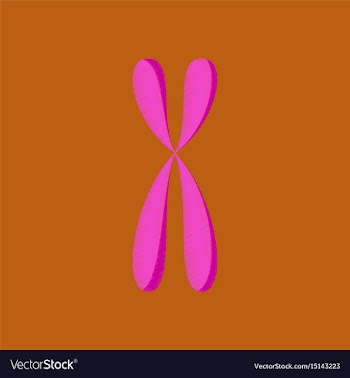 Flat shading style icon chromosome vector image