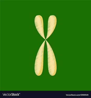Flat shading style icon chromosome vector image
