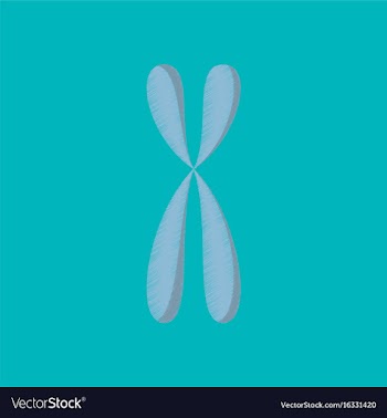 Flat shading style icon chromosome vector image
