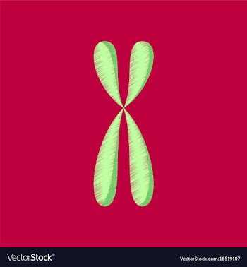 Flat shading style icon chromosome vector image