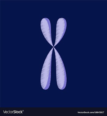 Flat shading style icon chromosome vector image
