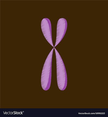 Flat shading style icon chromosome vector image
