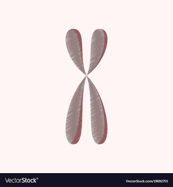 Flat shading style icon chromosome vector image