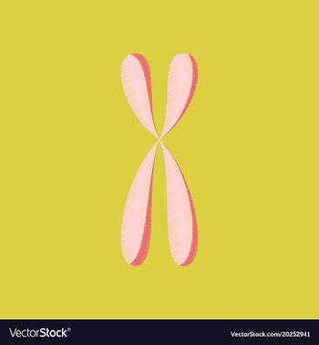 Flat shading style icon chromosome vector image