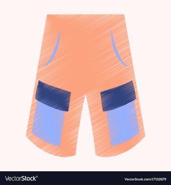 Flat shading style icon clothes shorts vector image
