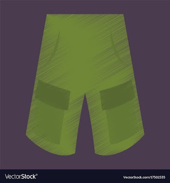 Flat shading style icon clothes shorts vector image