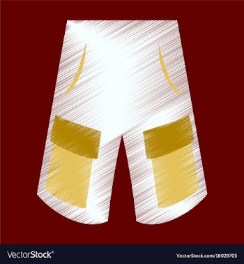 Flat shading style icon clothes shorts vector image