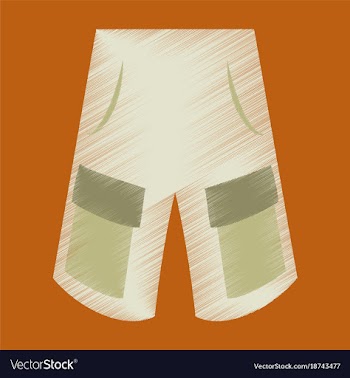 Flat shading style icon clothes shorts vector image