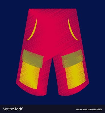 Flat shading style icon clothes shorts vector image