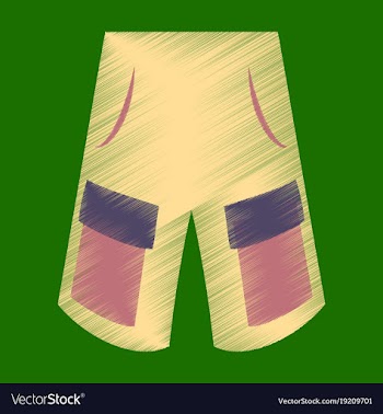 Flat shading style icon clothes shorts vector image