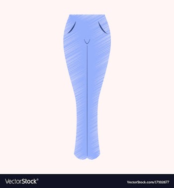 Flat shading style icon clothes women jeans vector image