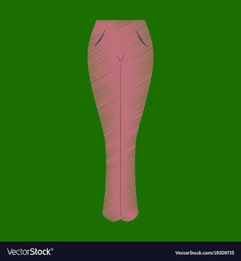 Flat shading style icon clothes women jeans vector image