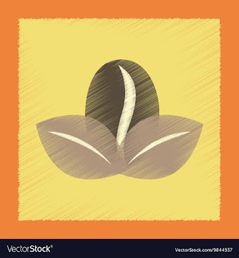 Flat shading style icon coffee bean leaves vector image