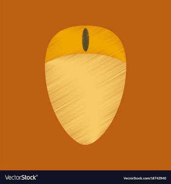 Flat shading style icon computer mouse vector image