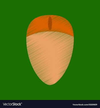 Flat shading style icon computer mouse vector image