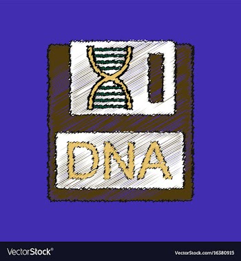 Flat shading style icon dna disk vector image