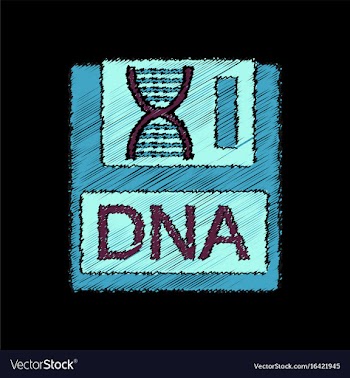 Flat shading style icon dna disk vector image