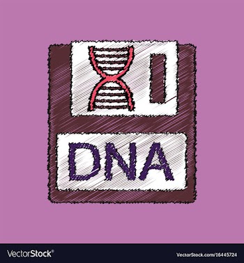 Flat shading style icon dna disk vector image