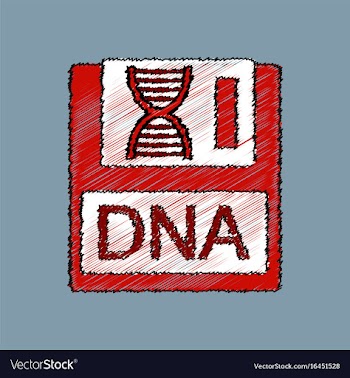 Flat shading style icon dna disk vector image