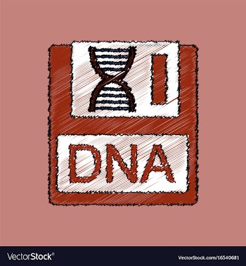 Flat shading style icon dna disk vector image