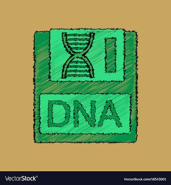 Flat shading style icon dna disk vector image