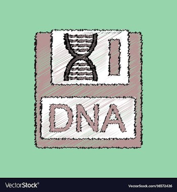 Flat shading style icon dna disk vector image