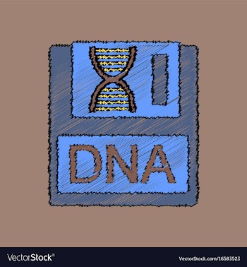 Flat shading style icon dna disk vector image