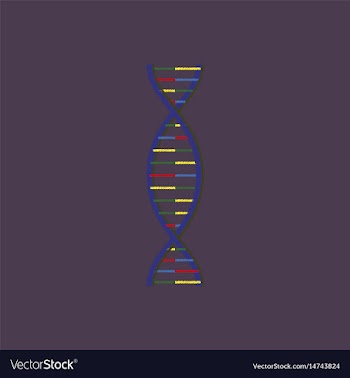 Flat shading style icon dna vector image