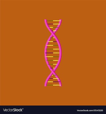 Flat shading style icon dna vector image