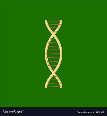 Flat shading style icon dna vector image